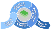document management life cycle
