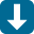 Download local copy icon