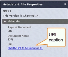 URL hyperlink in metadata pane